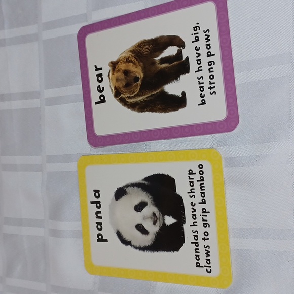 Get Set Go Flashcards 4 Boxed Set - Picture 16 of 16